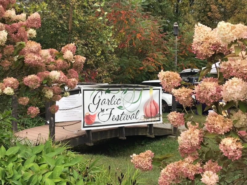 SIXTEENTH ANNUAL GARLIC FESTIVAL
